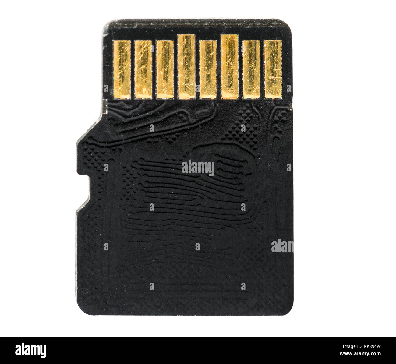 Super scharfe und detaillierte microsd-Makro Nahaufnahme, reinem weißem Hintergrund Stockfoto