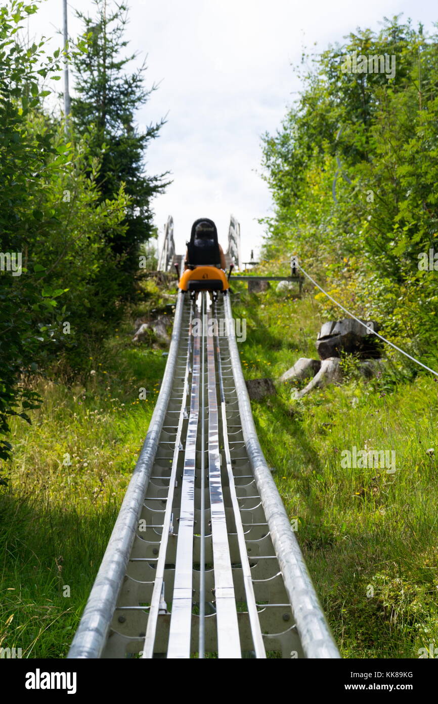 Achterbahn Bobbahn Rodelbahn im Sommer Tag, rittisberg, Alpen, Österreich Stockfoto