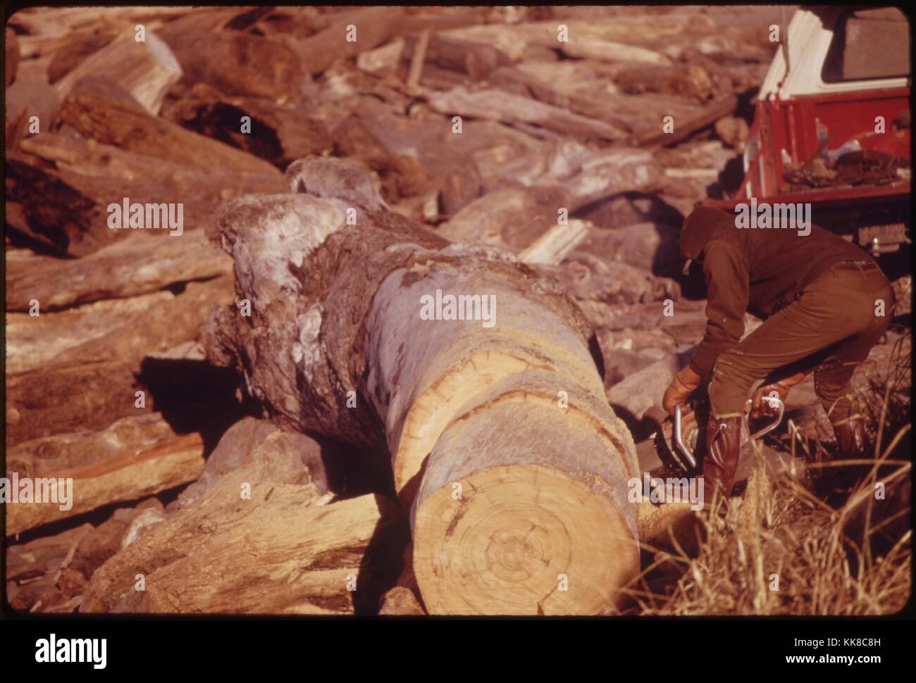 Sägen und Spalten von Baumstämmen Warf am Strand in der Nähe von Lincoln City, wurde getan zu sparen Strom und einen Weg zu finden, schlagen die Preise für Brennholz, die während der Monate der Energiekrise 1973-74 verdoppelt. Mit freundlicher Genehmigung der nationalen Archive, 1973. Stockfoto