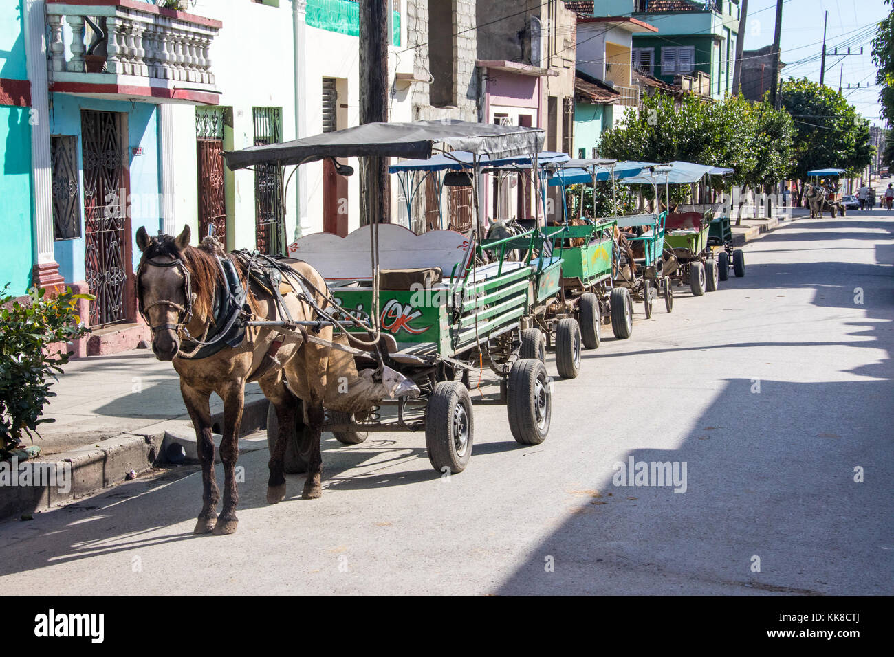 Pferdekutsche Taxis in einer Reihe in Cienfuegos, Kuba Stockfoto