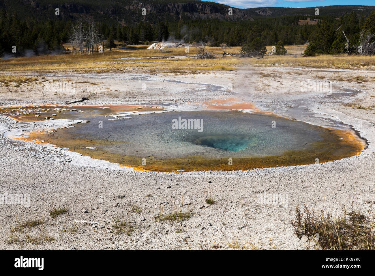 Geysir thermische Funktion in der Upper Geyser Basin churn, Yellowstone National Park Stockfoto