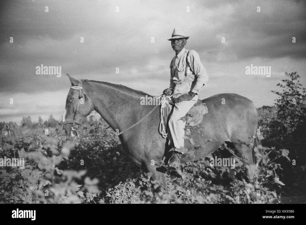 Schwarz-weiß Foto von Josh Taylor, ein ausgereiftes Afrikaner - Mann, Meister für 53 Jahre bei Knowlton Plantage, auf dem Rücken der Pferde in der Mitte eines Feldes, Perthshire, Mississippi Delta, Mississippi, 1939. Von der New York Public Library. Stockfoto