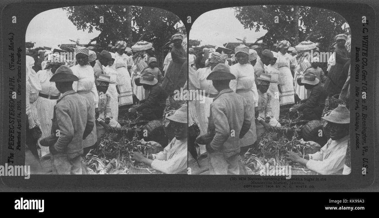 Ein stereograph, dass Leute zeigt Tauschhandel für Zuckerrohr auf einem Markt, die meisten Frauen tragen helle Kleider und die meisten Männer tragen Jacken und Hosen, Menschen ein Haufen von Zuckerrohr, das auf den Boden, Mandeville, Jamaika, 1904 legt umgeben. Von der New York Public Library. Stockfoto