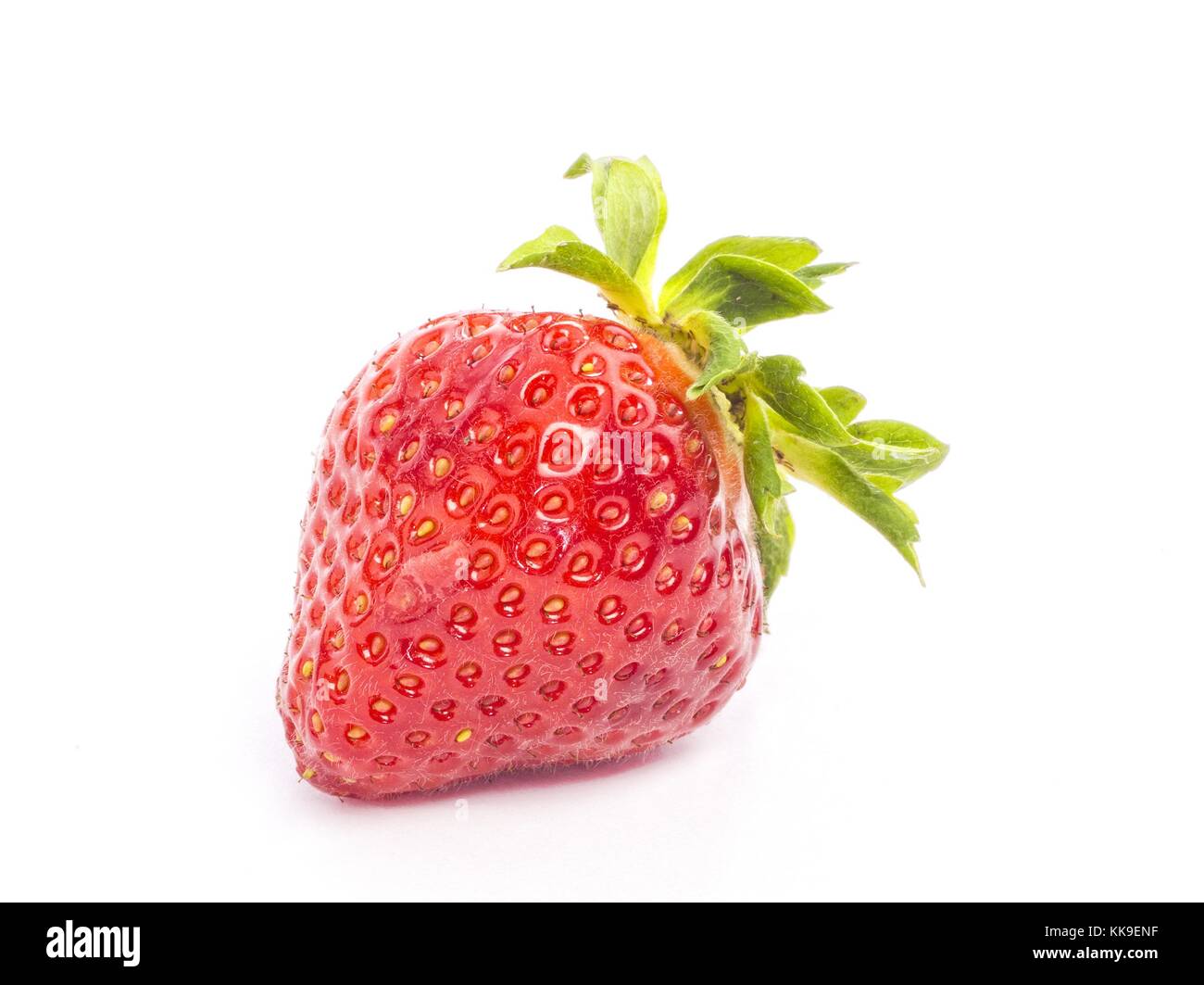 Frische ganze individuelle Erdbeeren Stockfoto