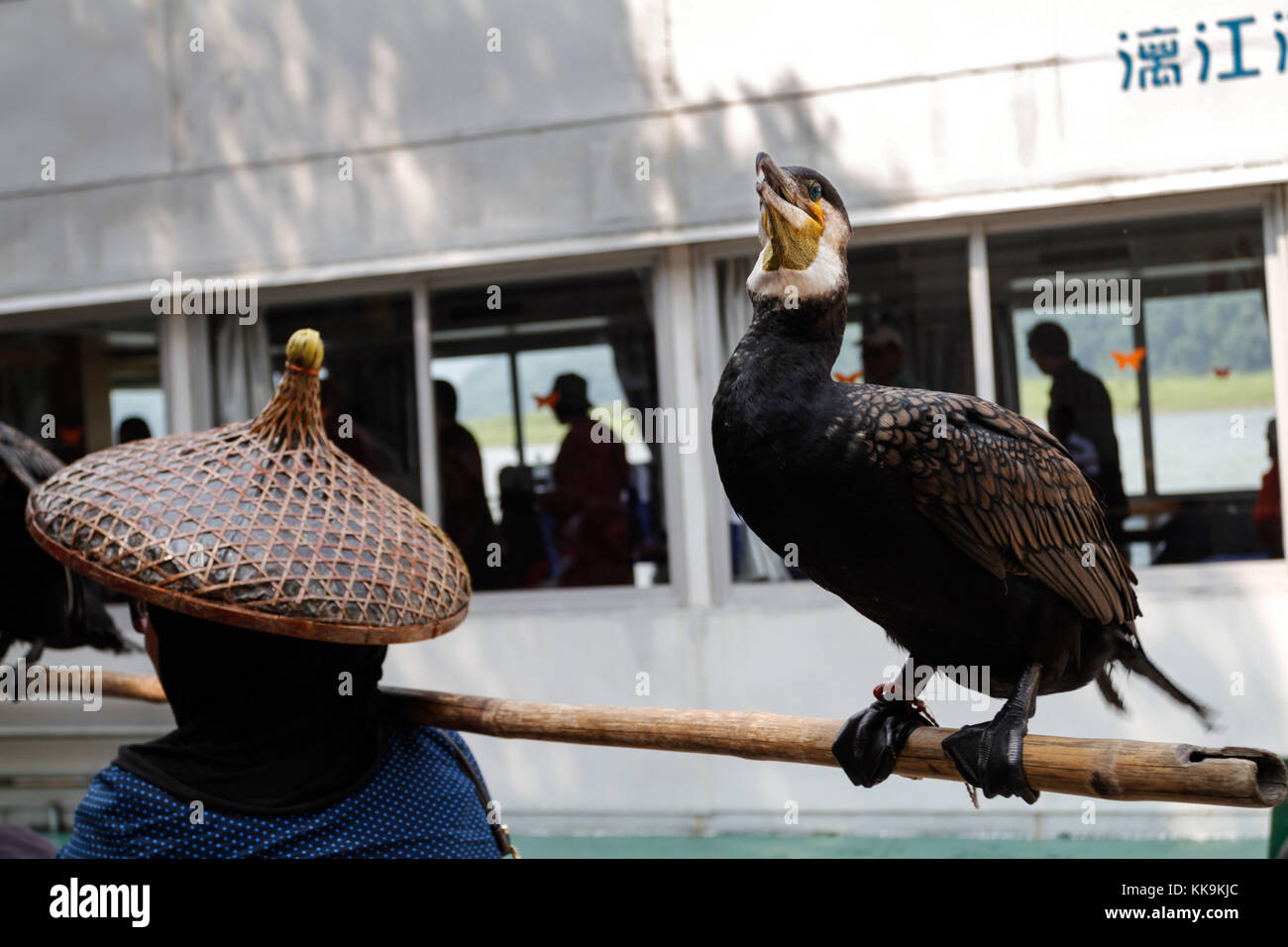 Touristen mit einem Kormoran Vogel in Guilin, China. Stockfoto