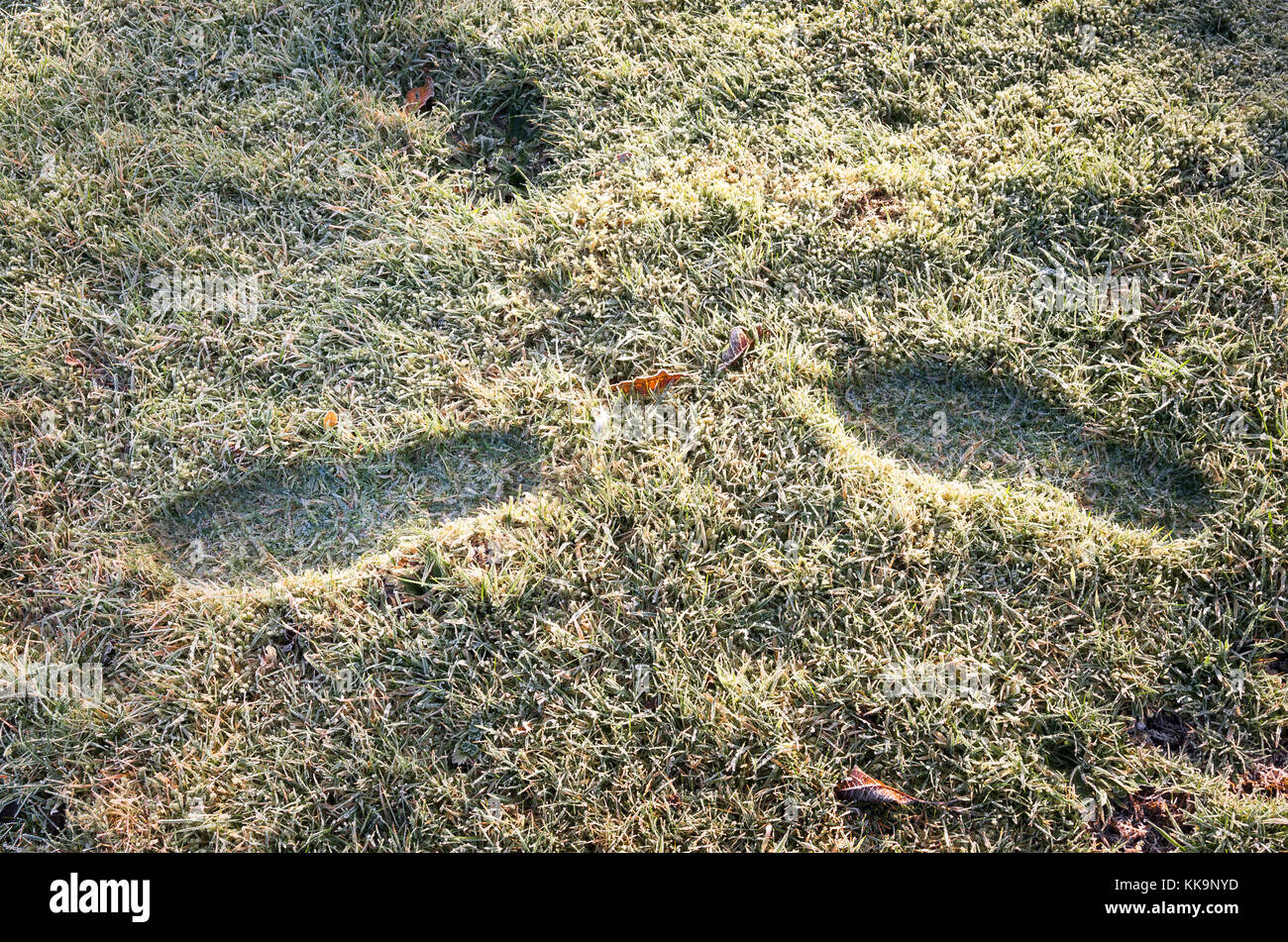 Spuren über einen gefrorenen Rasen - eine Praxis, die im Winter nicht empfohlen Stockfoto