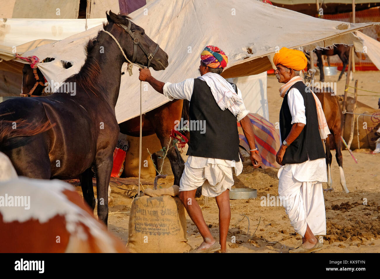 Pferd Händler auf Pushkar Fair, Rajasthan, Indien Stockfoto