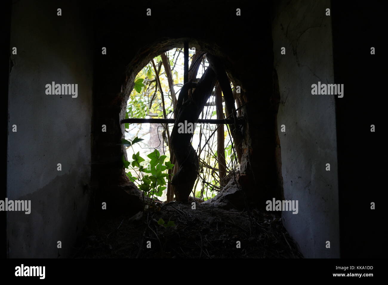 Eine gruselige kleine Fenster in einer verlassenen Villa in Lecco, Italien Stockfoto
