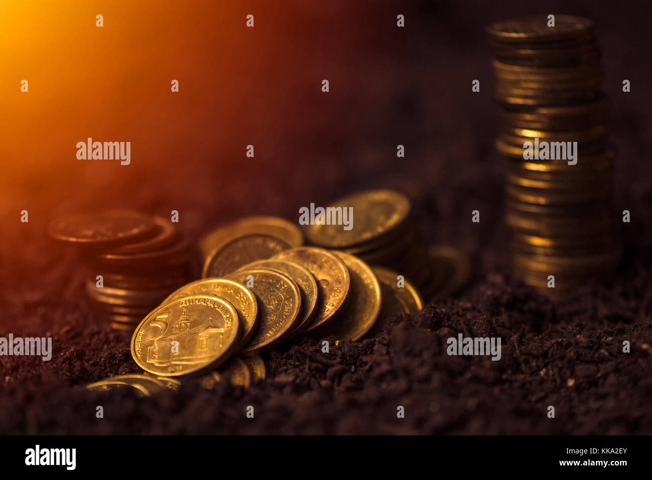 Bank Darlehen für landwirtschaftliche Produktion, Serbischer Dinar Währung Münzen in fruchtbaren Boden Stockfoto