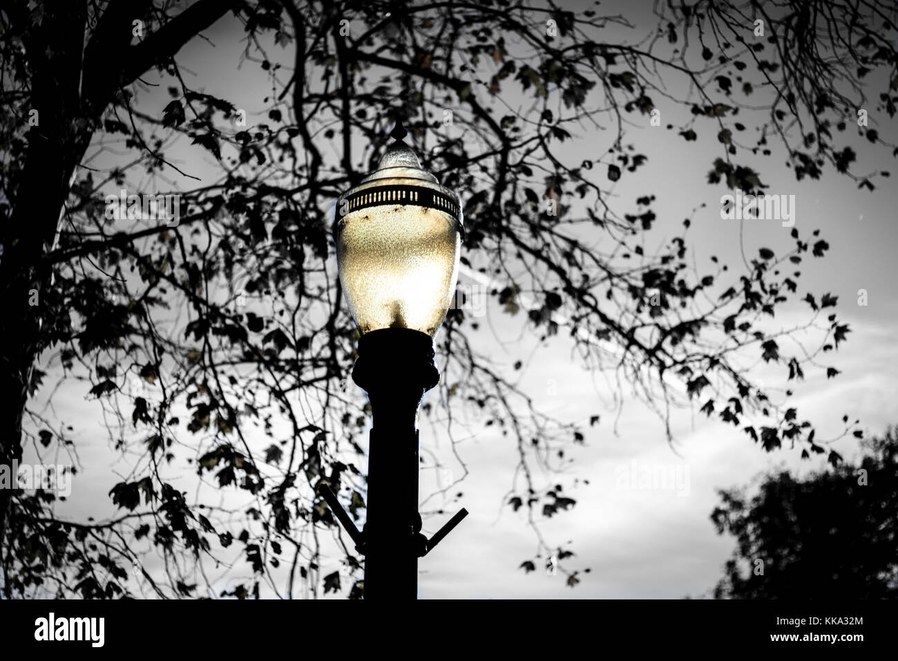 Street Lamp - Schwarz und Weiß Stockfoto