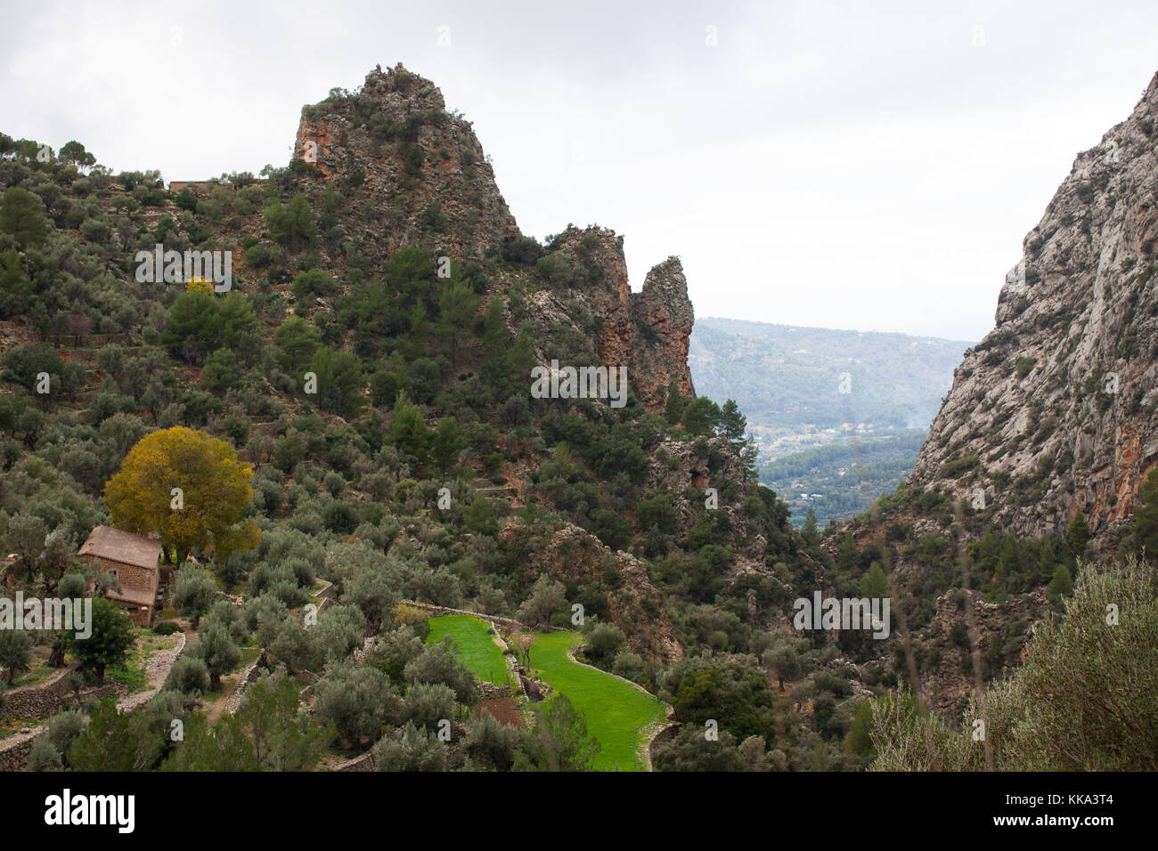 Anzeigen von biniaraix Schlucht und Soller Tal der Serra de Tramuntana Gebirge umgeben. Mallorca, Spanien Stockfoto