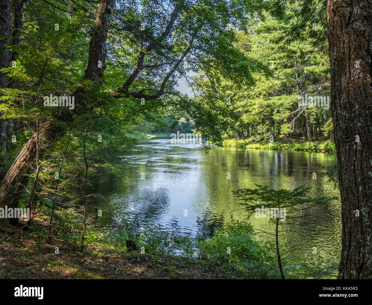 Mersey River, Kejimkujik National Park, Nova Scotia, Kanada. Stockfoto