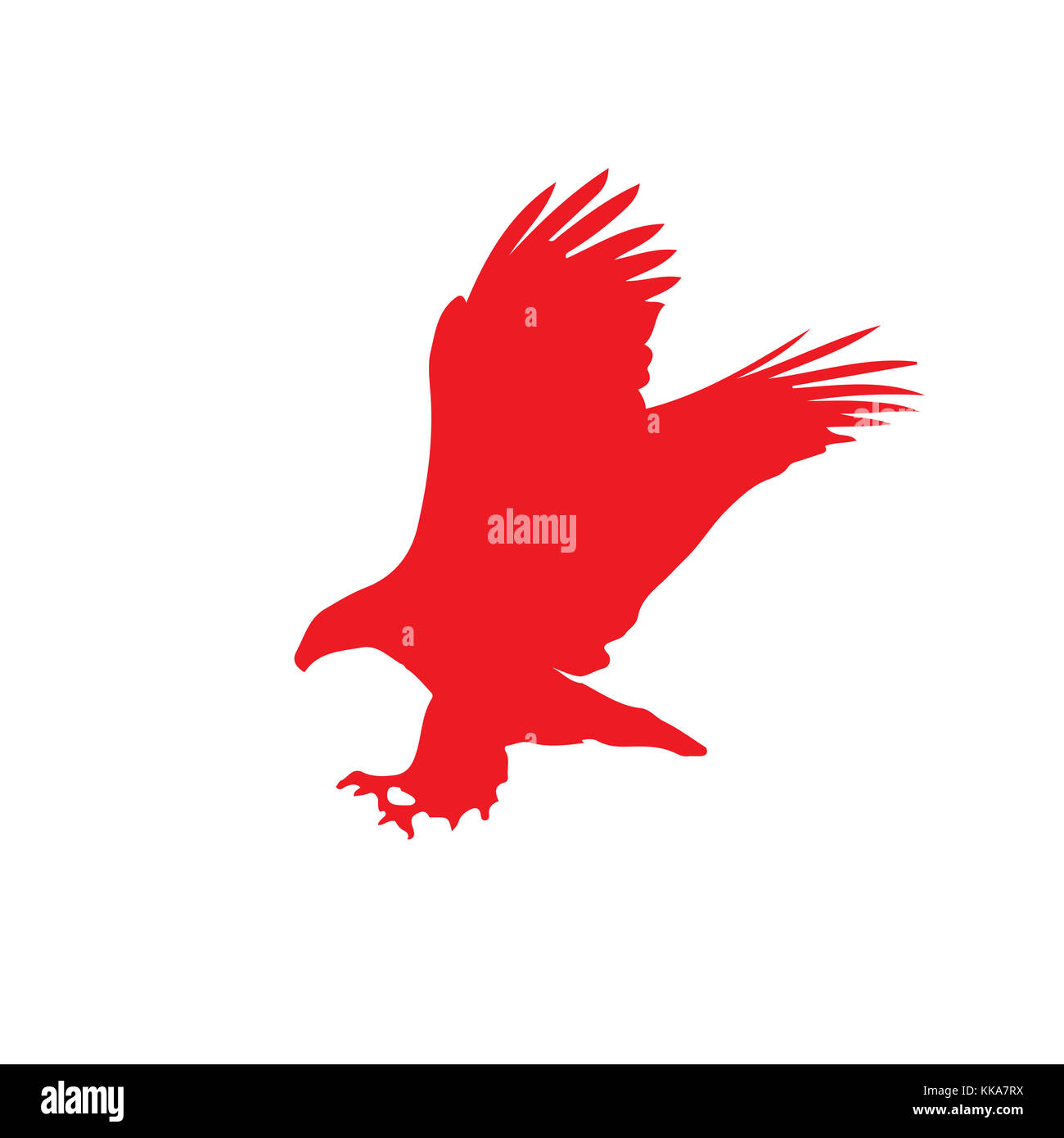Vector Adler Flying Eagle Falcon Hawk Vector Stockfotos & Flying Eagle Falcon Hawk ...