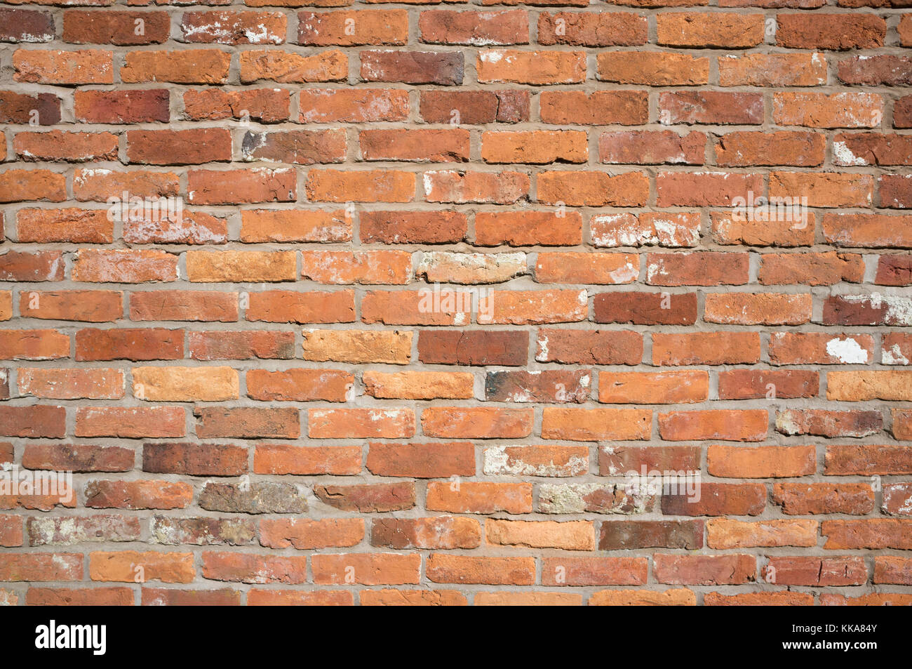 Eine rustikale Mauer, die als Hintergrund verwendet werden könnte. Stockfoto
