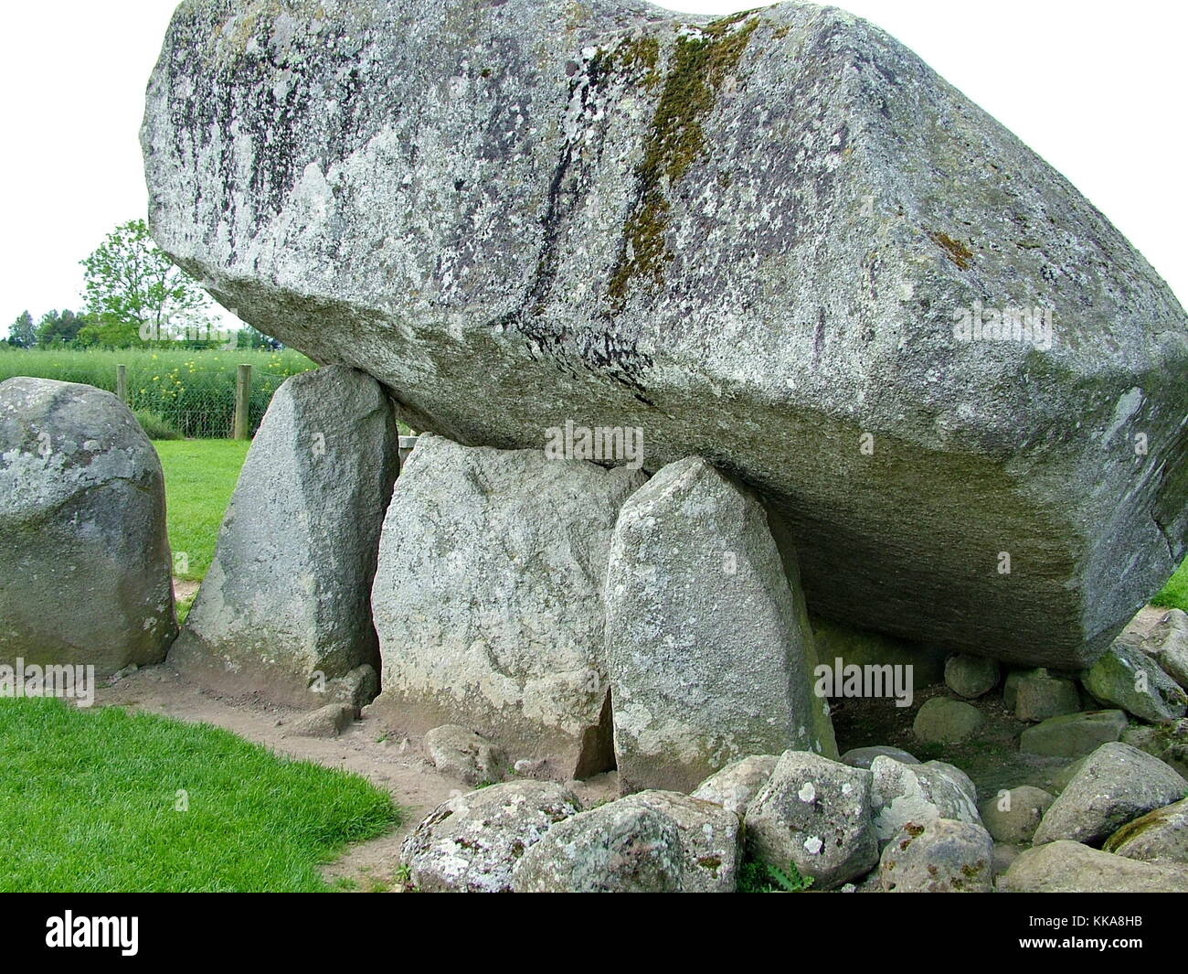 Brownshill dolmen Eine megalithische Portal Grab in der Grafschaft Carlow, Irland. Stockfoto