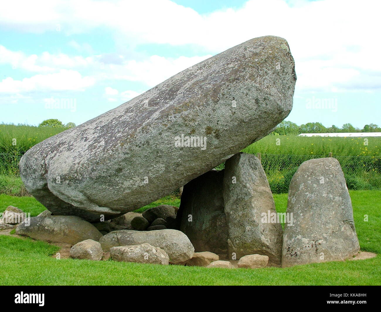 Brownshill dolmen Eine megalithische Portal Grab in der Grafschaft Carlow, Irland. Stockfoto