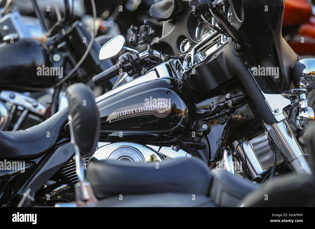 Savanna, Iowa, USA. Juli 2017. Einer von vielen Harley Davidson Cruisern ist am Samstag, 15. Juli 2017 im Poopy's Pub and Grub in Savanna, Illinois, zu sehen. Das Restaurant und die Bar gelten als Zufluchtsort für Motorradfahrer und bieten gleichzeitig eine familiäre Atmosphäre mit Sitzgelegenheiten im Freien, mehreren Bars im Innen- und Außenbereich und häufig Live-Musik. Kredit: Andy Abeyta, Quad-City Times/Quad-City Times/ZUMA Wire/Alamy Live News Stockfoto