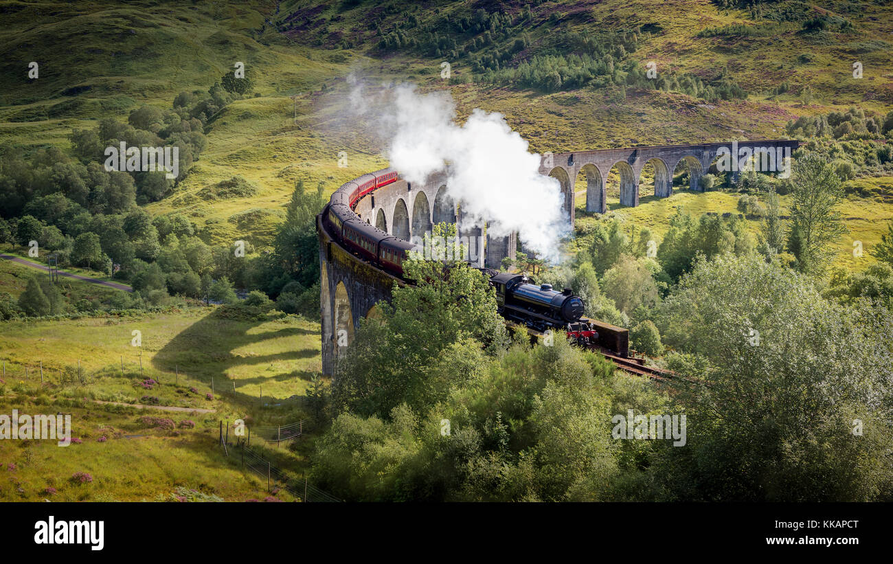 Harry Potter Zug, jacobite Express, glenfinnan Viadukt, Inverness-shire, Highlands, Schottland, Großbritannien, Europa Stockfoto