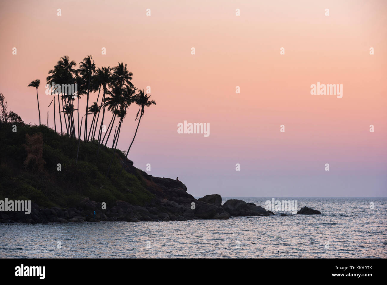 Palmen Silhouette an Palolem Strand bei Sonnenuntergang, Goa, Indien, Asien Stockfoto
