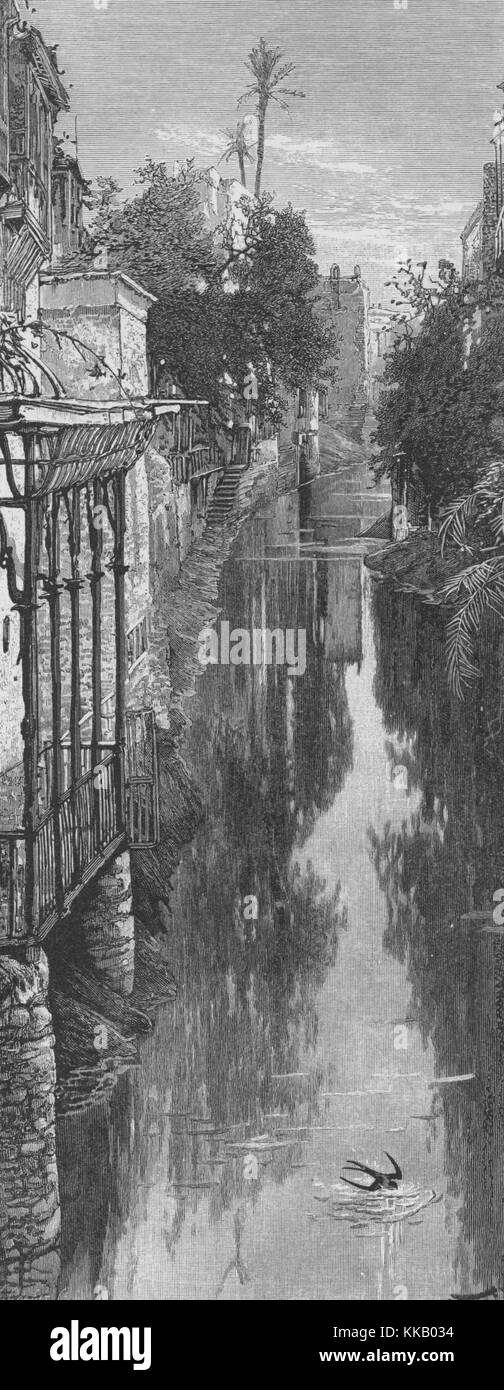 Holzstich, der einen Kanal, die Stadt Gebäude auf jeder Seite, ein Vogel tauchen ins Wasser, mit Untertiteln' auf dem Kanal (El Khalig), 99487 Wasser - Weg durch Kairo, war früher schiffbar bei hohen Nil", aus dem Buch "Malerischen Palästina, Sinai, Ägypten", die von Sir Charles William Wilson, 1882. Von der New York Public Library. Stockfoto