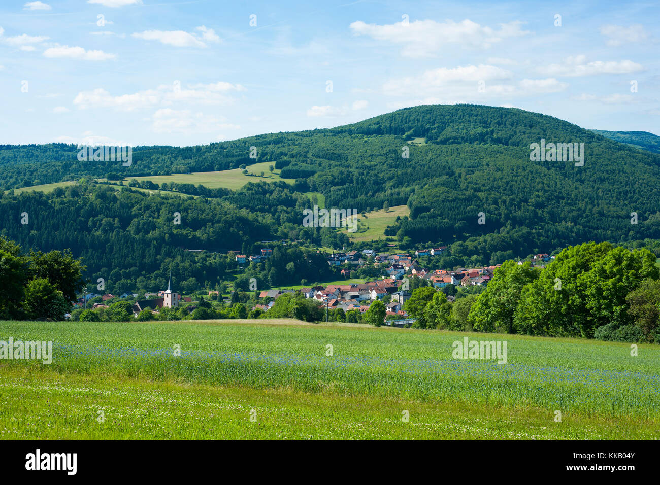 Blick auf Oberbach, Biosphärenreservat Rhön, Bayern, Deutschland Stockfoto