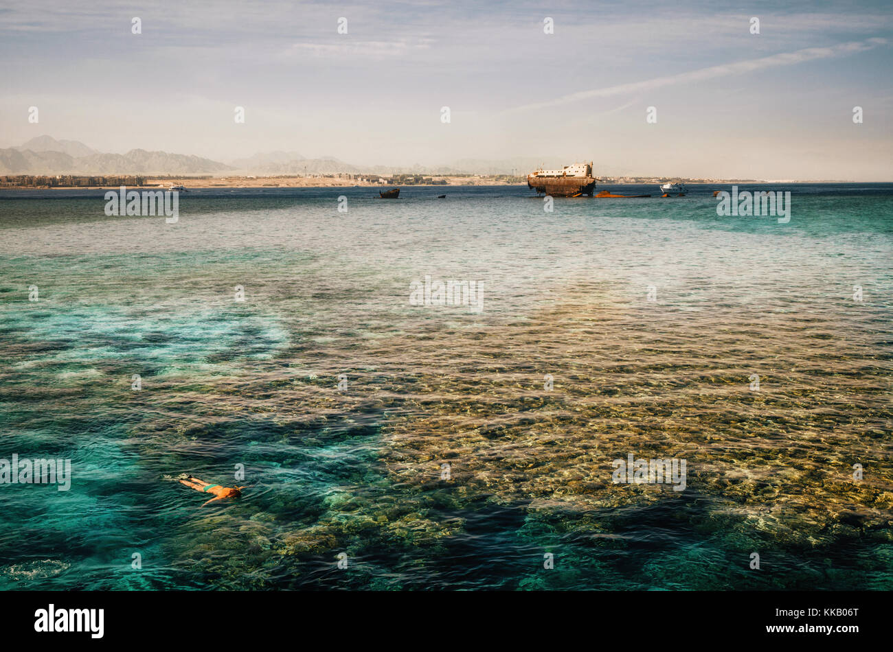 Frau Schnorcheln neben der Schiffbruch an der Gordon Reef in der Straße von Tiran, im Roten Meer, in der Nähe von Sharm el Sheikh Rotes Meer, Sinai, Ägypten Stockfoto