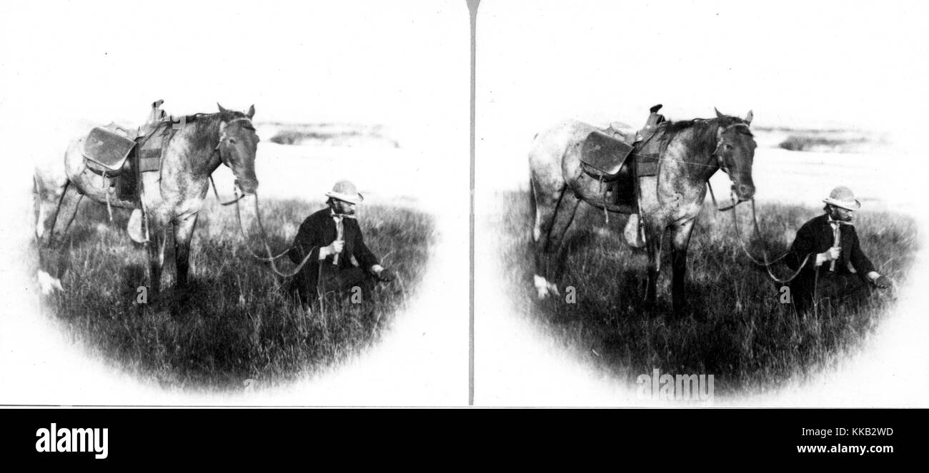 Stereograph eines USGS Mitarbeiter namens Dr. Hayden und sein Pferd in einer Wiese. Bild mit freundlicher Genehmigung durch USGS. 1870. Stockfoto