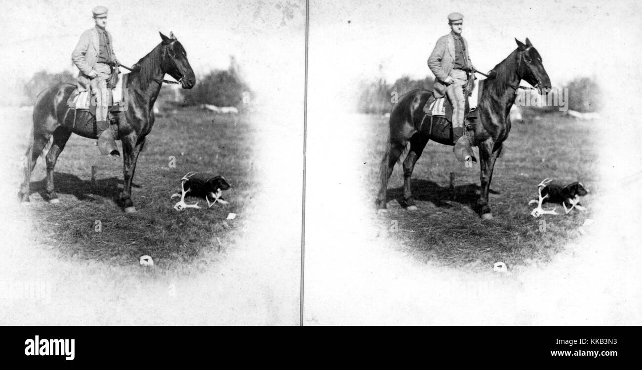Stereograph eines USGS Mitarbeiter namens C.P. Carrington, auf dem Rücken der Pferde mit einem Hund auf dem Boden. Bild mit freundlicher Genehmigung durch USGS. 1870. Stockfoto