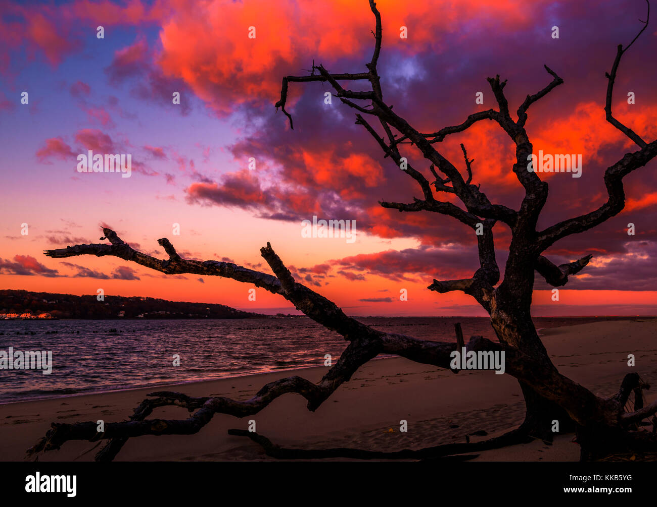 Mystische Sonnenaufgang am Strand. Das Sunrise die Farben der Wolken in brillanten Farben in der Bucht von Sandy Hook, New Jersey Stockfoto