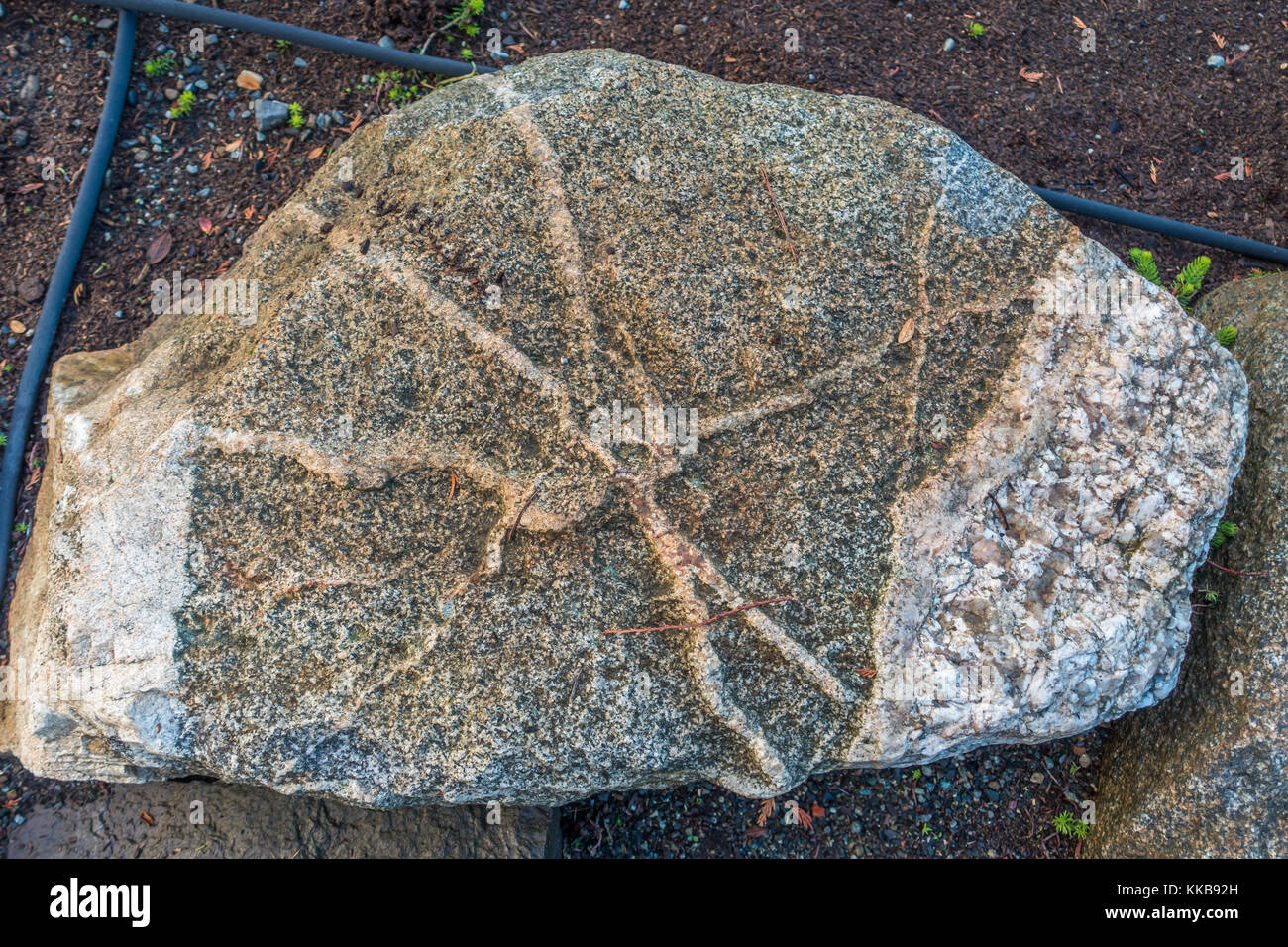 Die Linie durchzieht diesen Felsen. Stockfoto