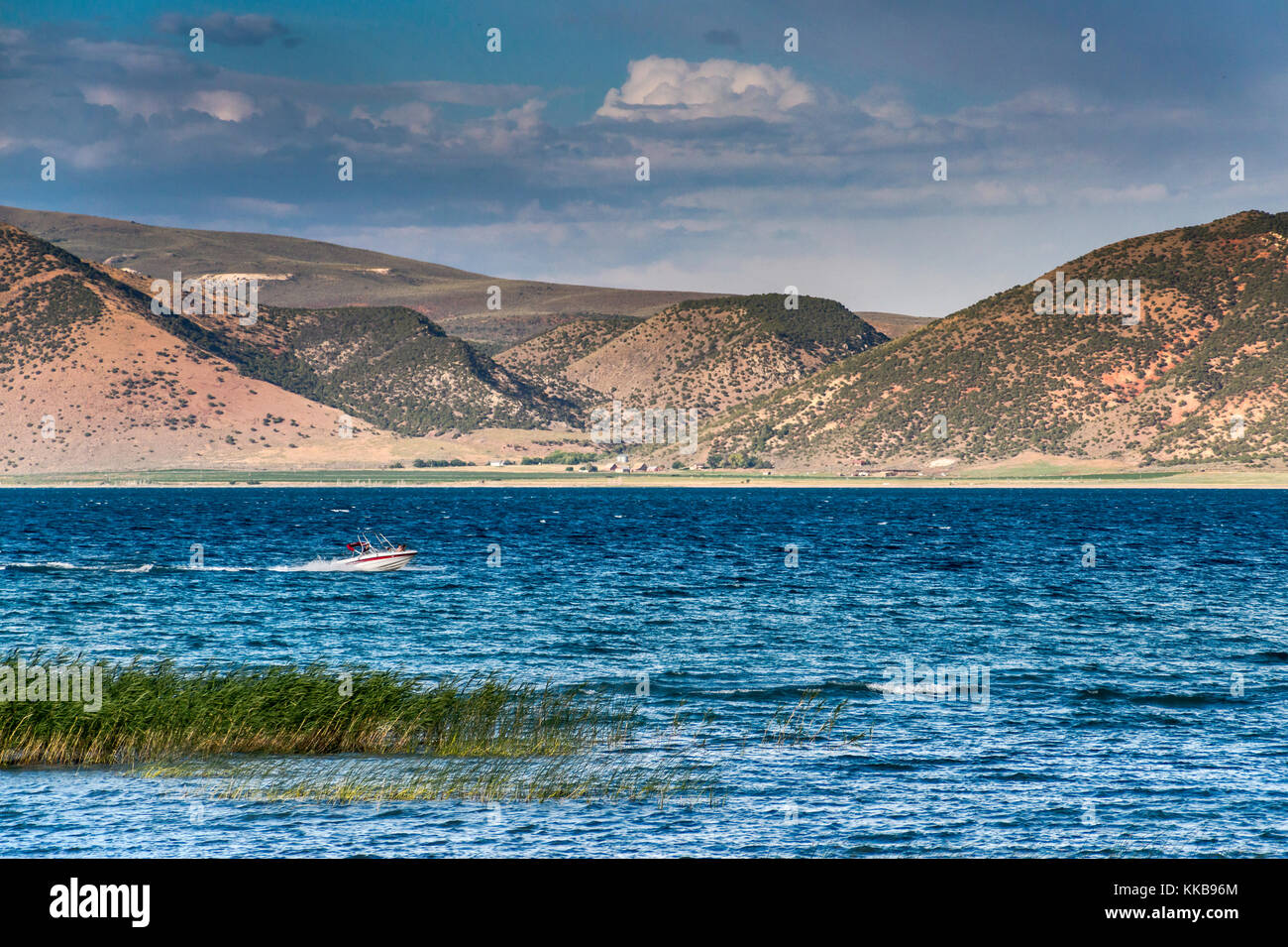 Boot, Schilf am Bear Lake, Black Mountain in Distance, Bear Lake Valley in der Nähe von Garden City, Utah, USA Stockfoto
