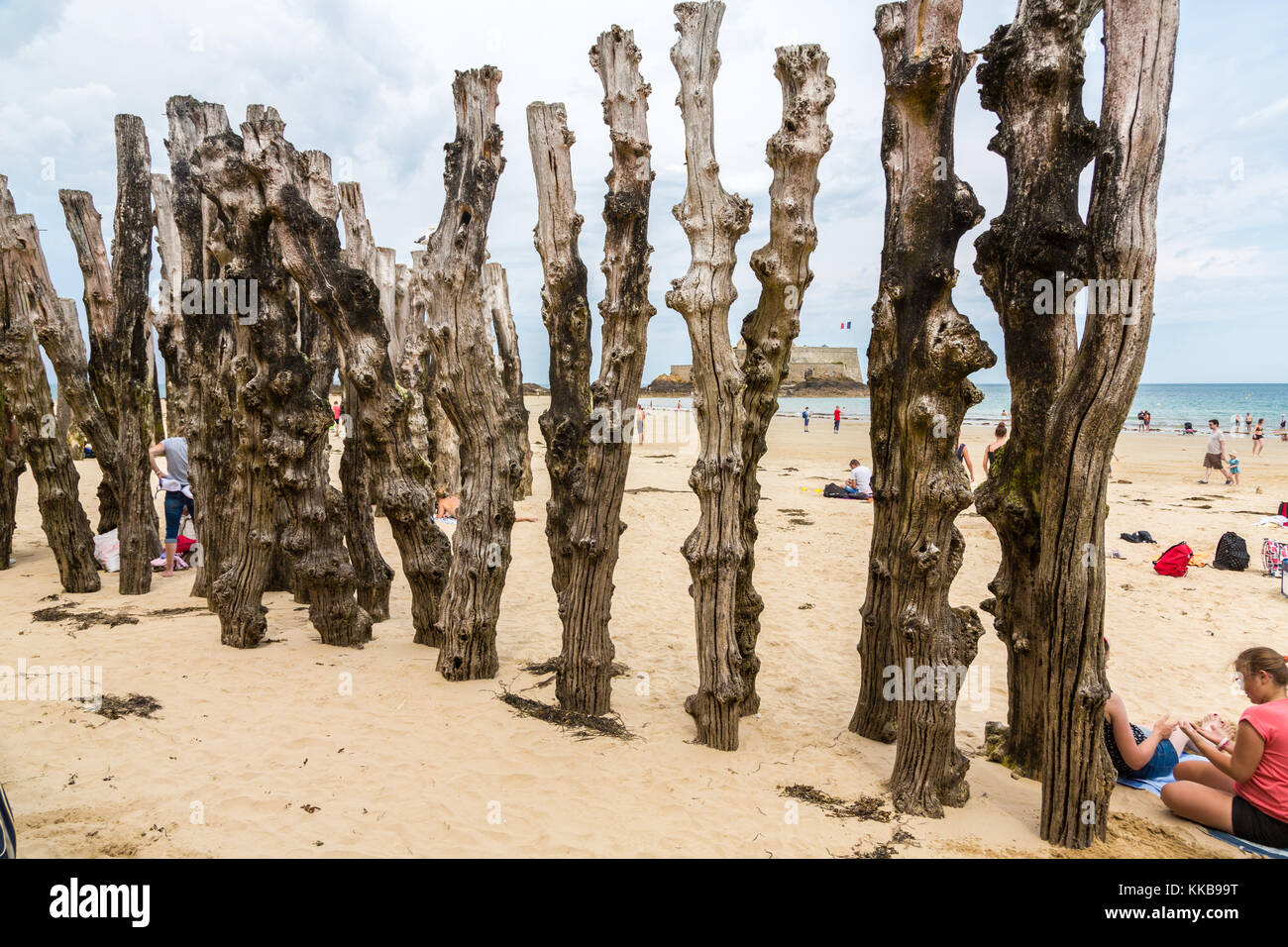 Saint-malo Strand mit Meer Verteidigung Baumstämme, Bretagne, Frankreich, Europa Stockfoto