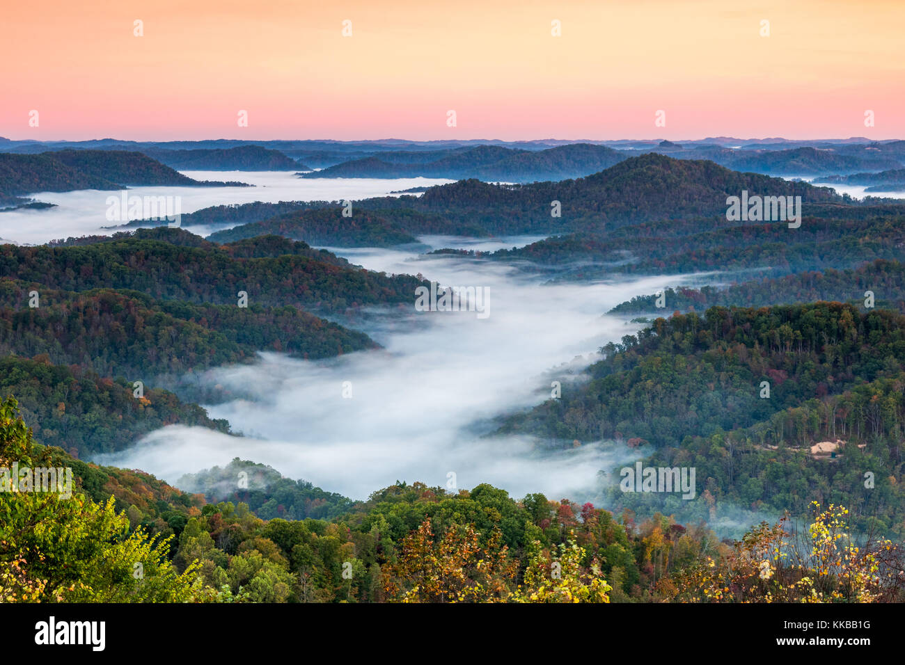 Dichter Nebel schwebt über einem Tal in dieser ländlichen Szene bei Sonnenaufgang. Stockfoto