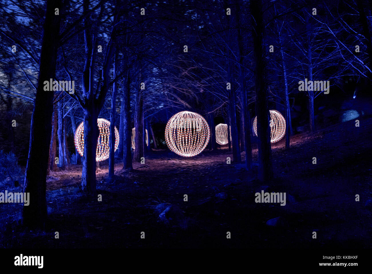 Sphären von Licht in den dunklen Wald mit lightpainting Technik gemacht Stockfoto