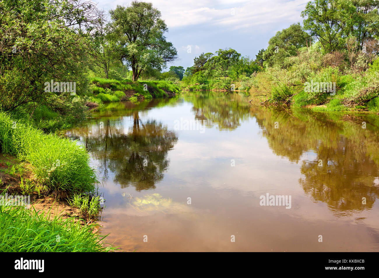 Feder der ländlichen Landschaft mit Fluss, Wald. Reflexion im Fluss Stockfoto