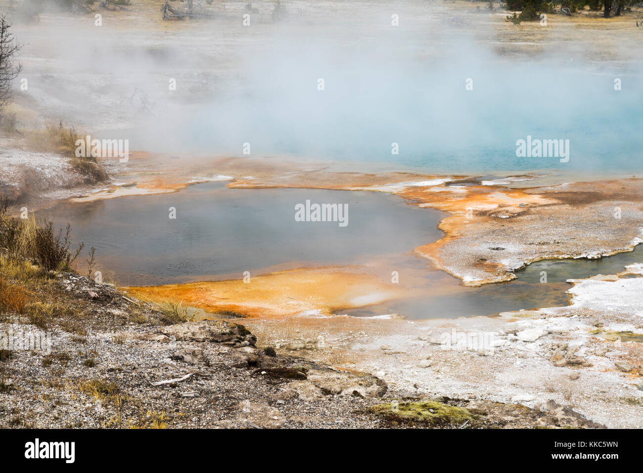 Black Opal pool thermische Funktion in biscuit Geyser Basin, Yellowstone National Park Stockfoto