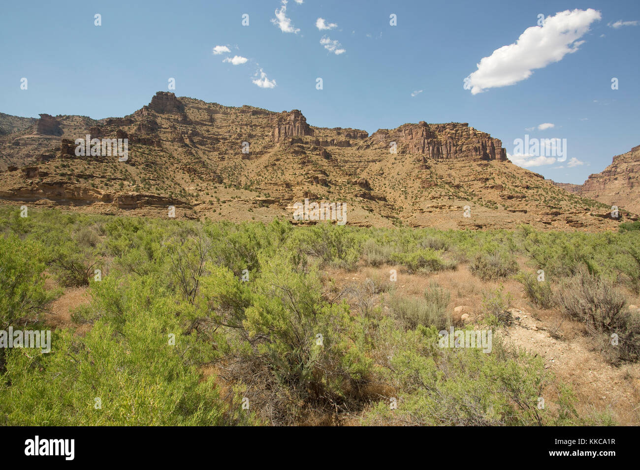 Desert Canyon Stockfoto