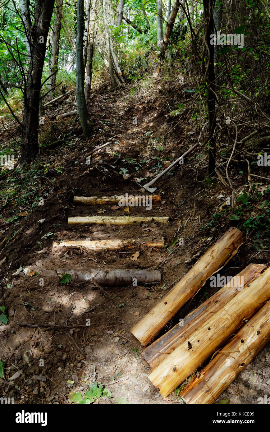 Die Schaffung eines steilen Weg durch den Wald mit rustikalen, geschält Rundholz Schnittholz als Schritte, Wales, UK. Stockfoto
