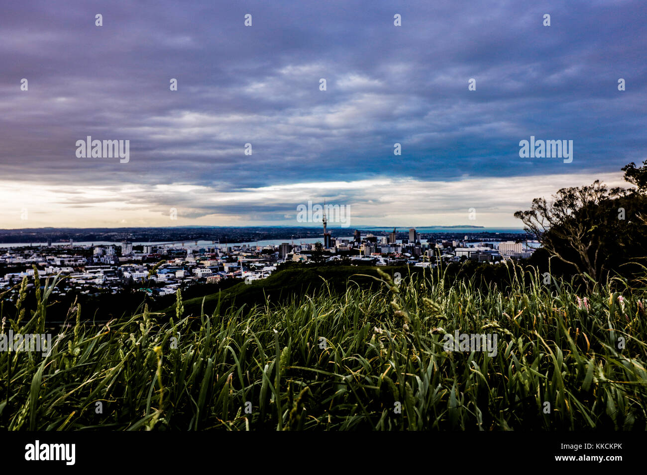 Auckland City Blick von Mt.Eden Stockfoto