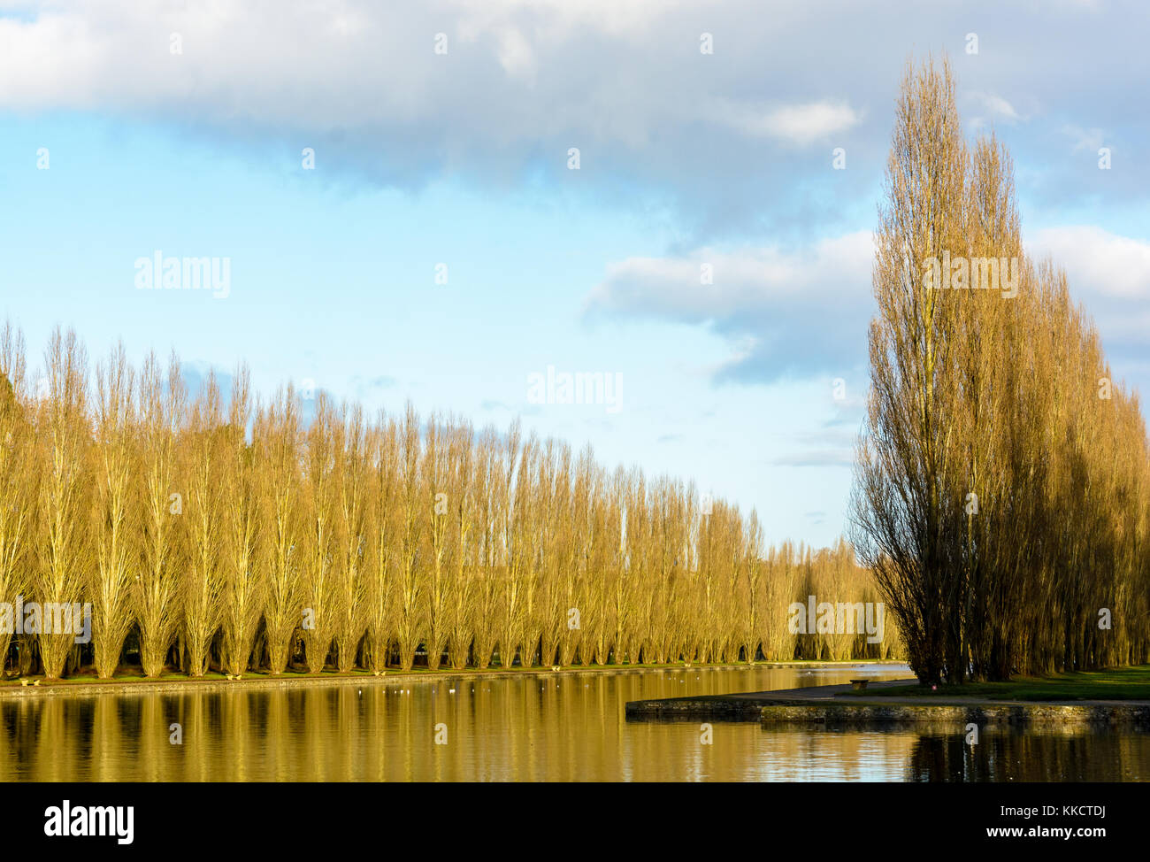 Blick auf den Kanal von Pappeln, die im französischen öffentlichen Park an einem sonnigen Morgen im Herbst. Stockfoto