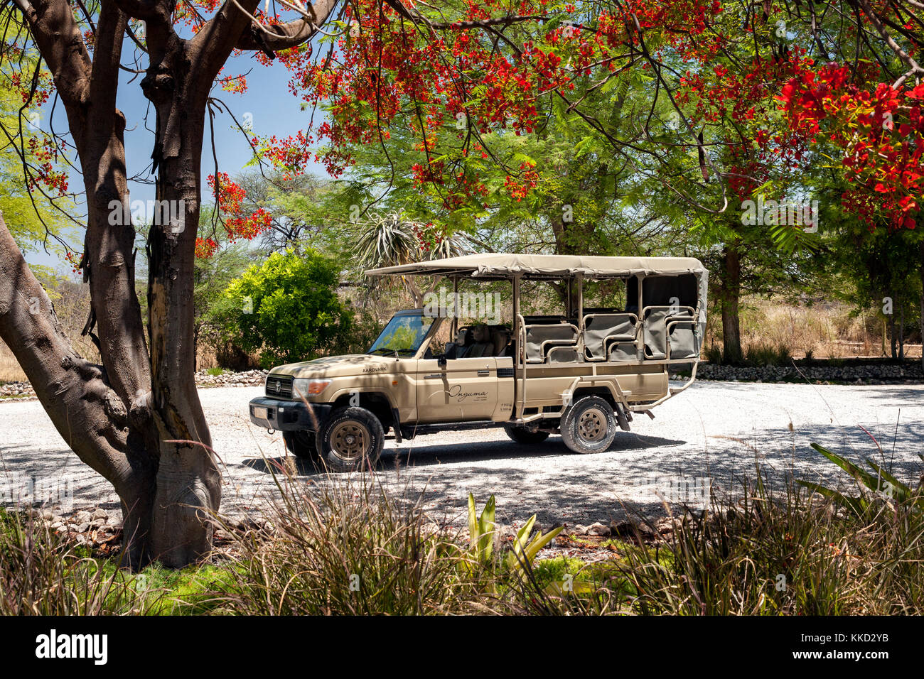 Safari Fahrzeug auf onguma Bush Camp, onguma Game Reserve, Namibia, Afrika Stockfoto