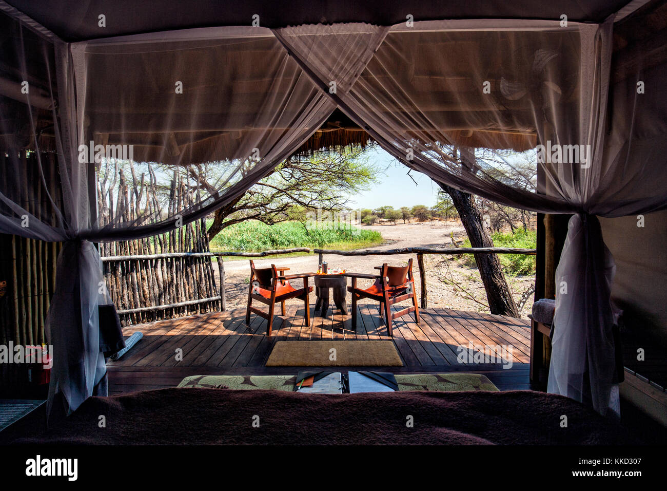 Tree House Zimmer auf Onguma Tree Top Camp onguma Game Reserve, Namibia, Afrika Stockfoto