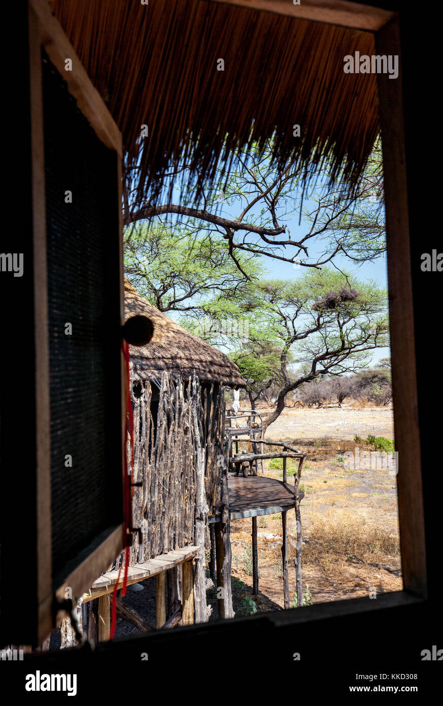 Blick durch Fenster auf Onguma Tree Top Camp onguma Game Reserve, Namibia, Afrika Stockfoto