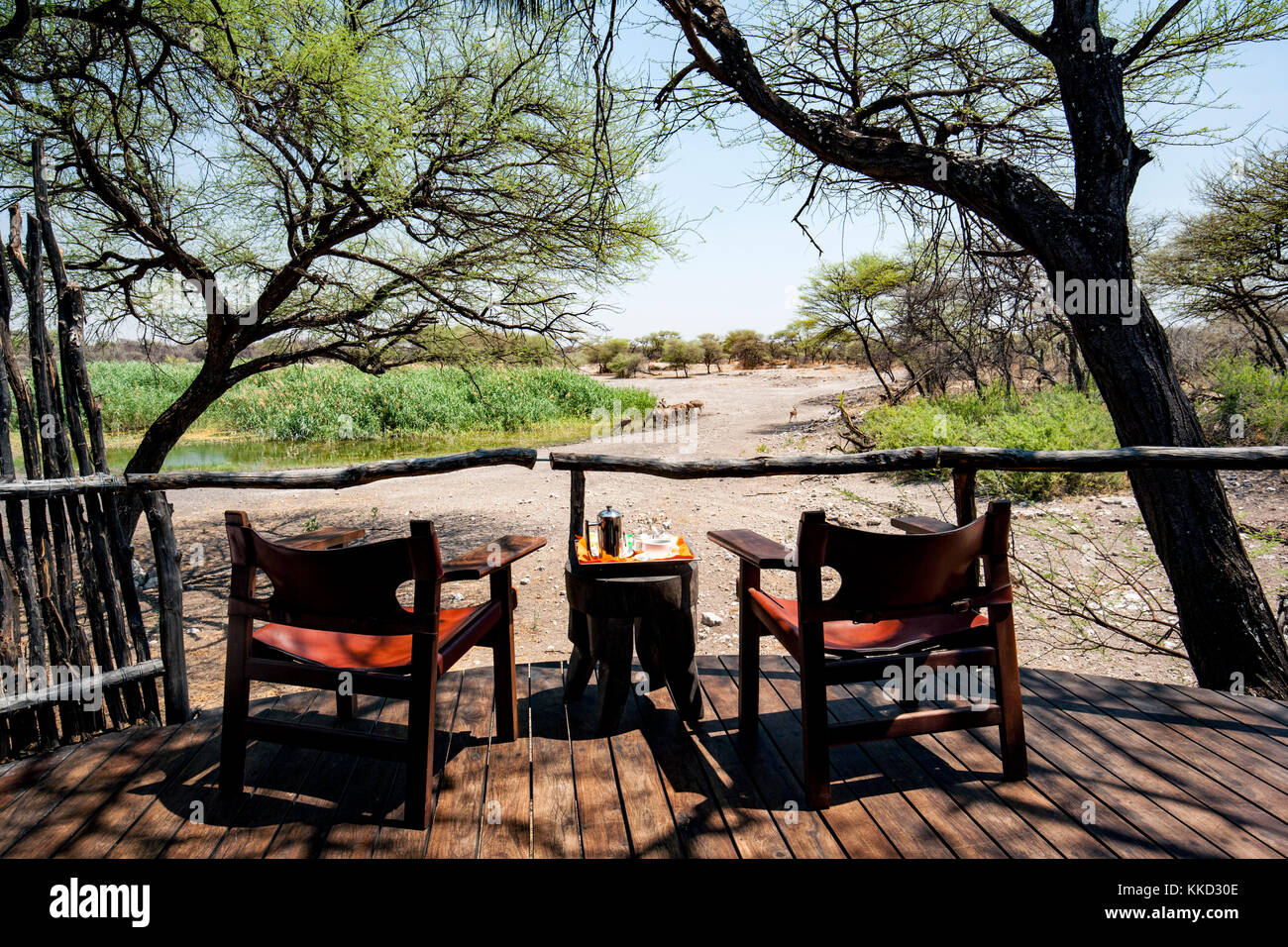 Deck von Tree House Zimmer auf Onguma Tree Top Camp onguma Game Reserve, Namibia, Afrika Stockfoto