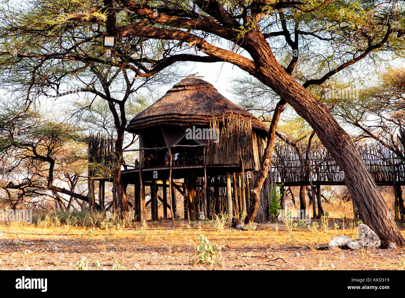 Von außen Baumhäuser auf Onguma Tree Top Camp onguma Game Reserve, Namibia, Afrika Stockfoto