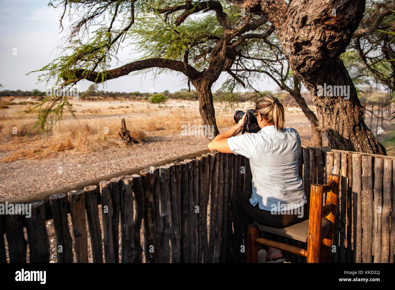 Junge Frau Bilder aufnehmen am Aussichtsturm auf onguma Bush Camp, onguma Game Reserve, Namibia, Afrika Stockfoto