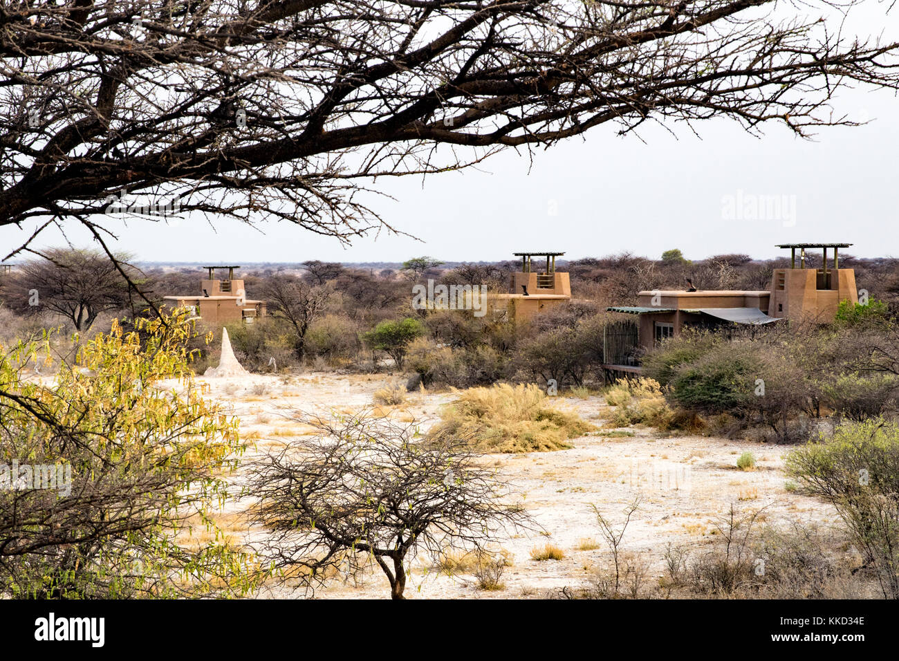 Landschaft auf Onguma The Fort, onguma Game Reserve, Namibia, Afrika Stockfoto