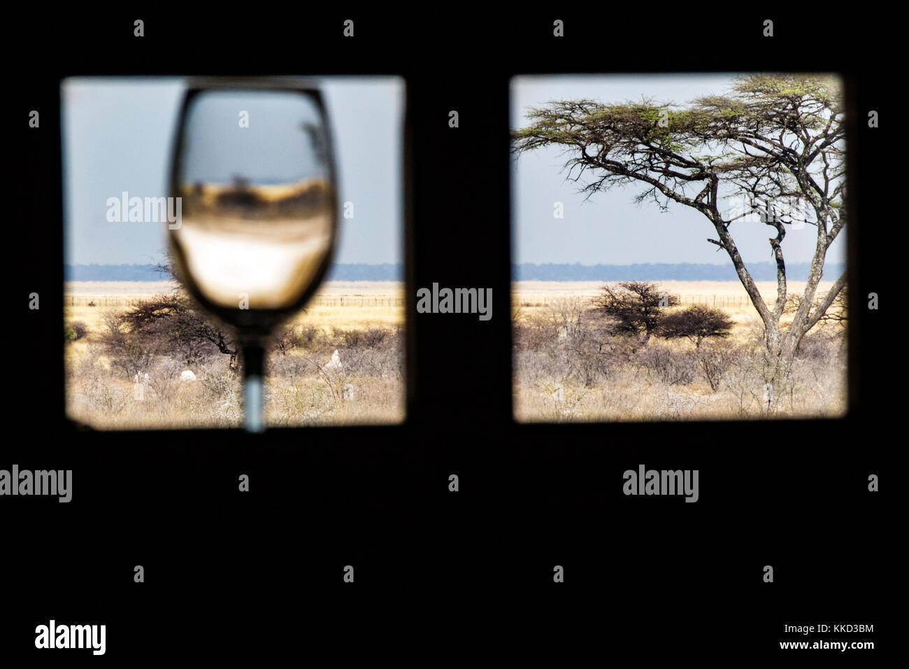Blick durch die Fenster der Weinkeller auf Onguma The Fort, onguma Game Reserve, Namibia, Afrika Stockfoto