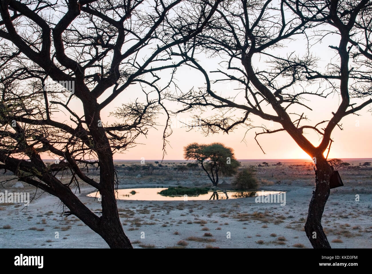 Wasserloch bei Sonnenuntergang - onguma the fort, onguma Game Reserve, Namibia, Afrika Stockfoto