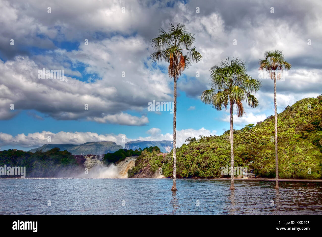 Drei Palmen in den See neben dem Wasserfall in Canaima National Park, Venezuela an einem sonnigen Tag Stockfoto